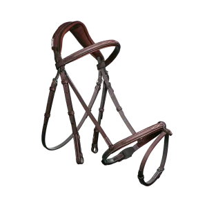 CWD Träns Anatomiskt